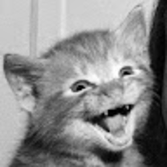 Meet your Posher, Heitor - Picture 1 of 1